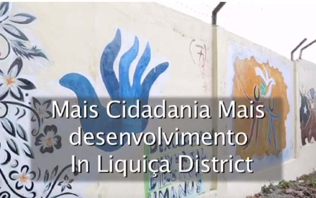 More Citizenship, More Development in film