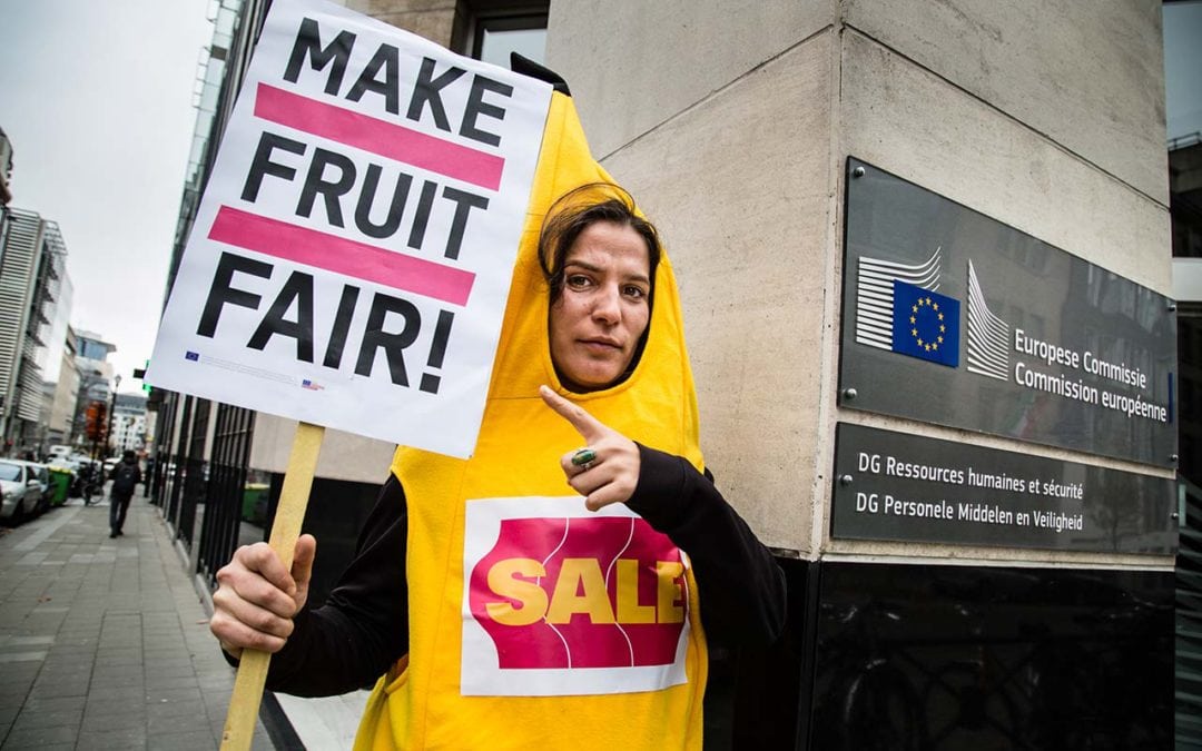 Make Fruit Fair project: Informed Consumers Change Lives for the Better