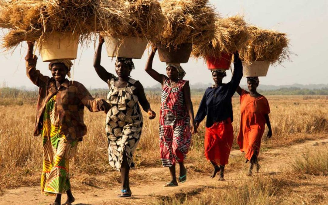 Civil Society Organisations of the PDSA Programme receive training on Cereal Bank Management