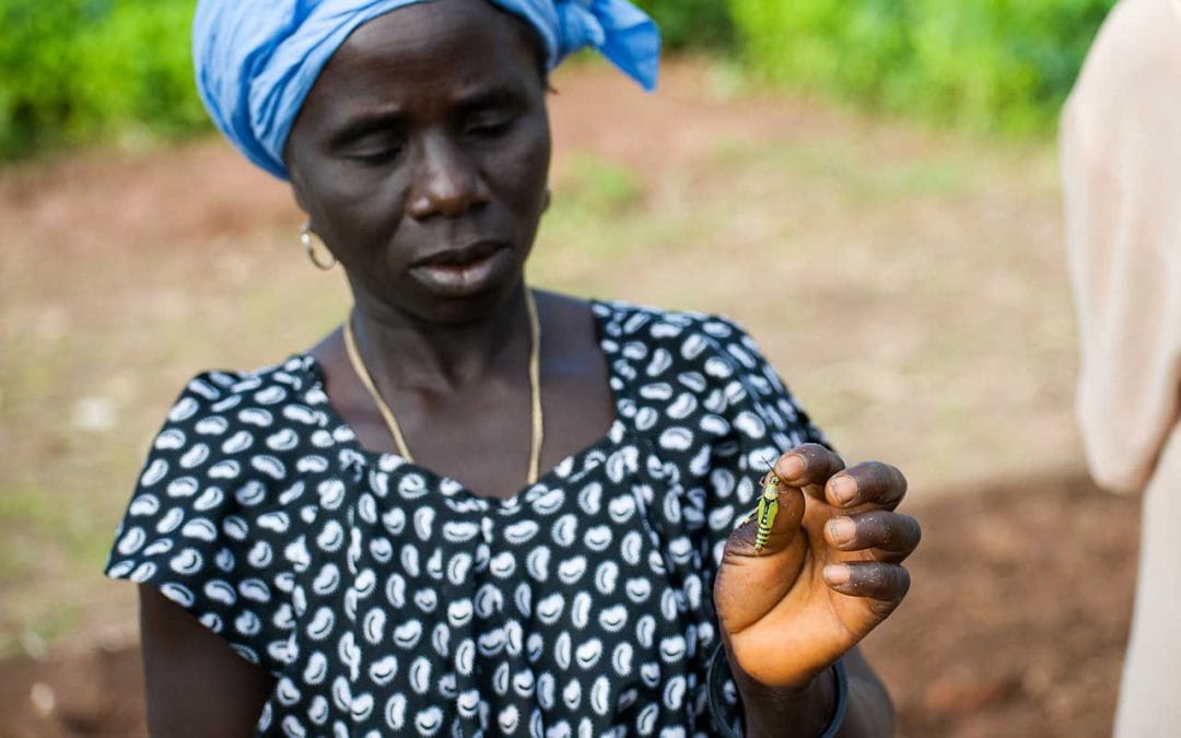 Elimination of Violence Against Women