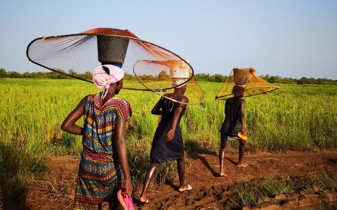 Annual Report 2018 is already available