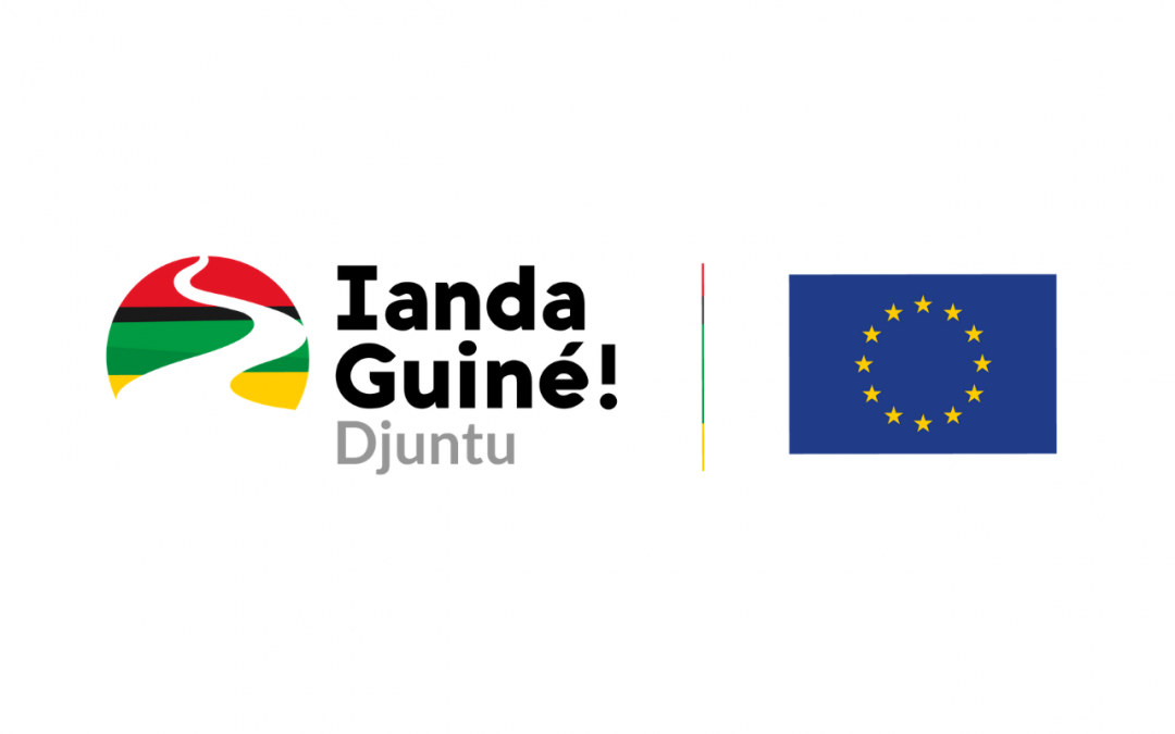 Ianda Guinea! Djuntu launches Call for Proposals for Long-Term Organizations and Consolidated Experience
