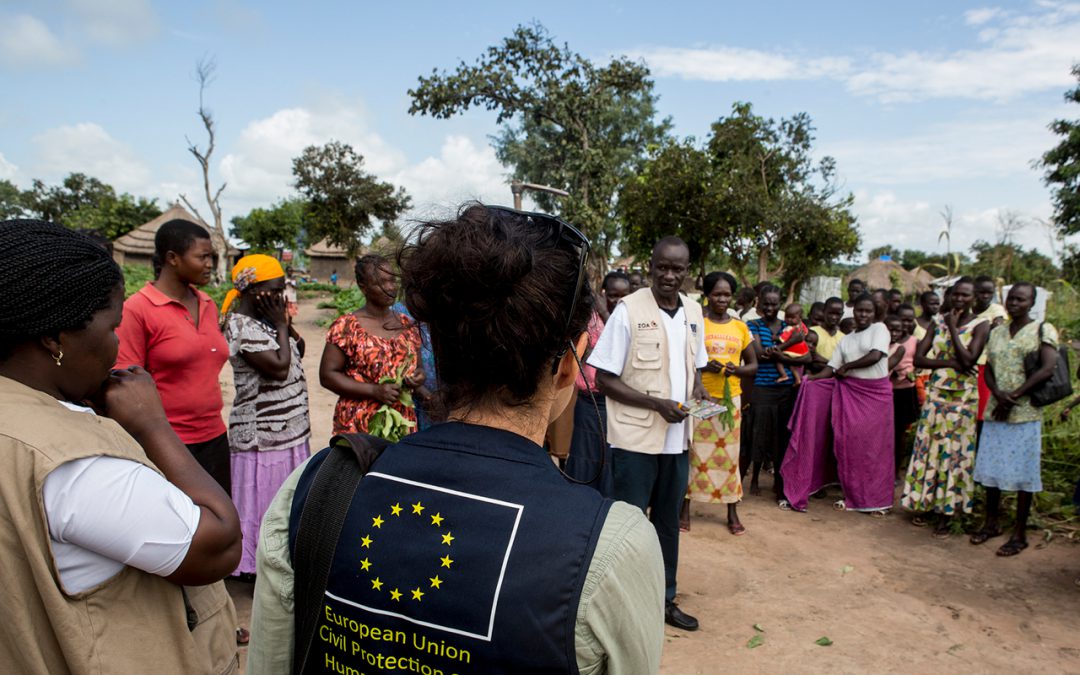 The IMVF and Europe Day