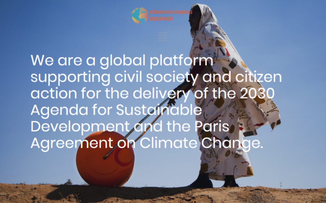 IMVF has joined the Action for Sustainable Development Platform