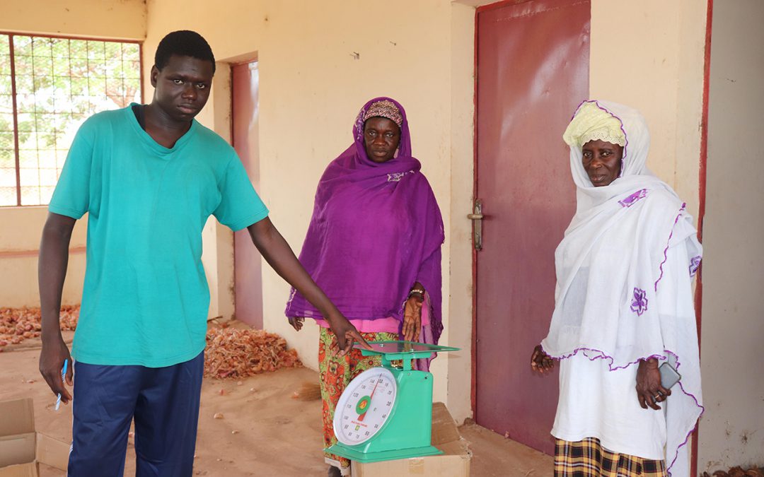 IMVF and ADWAC distributed weighing scales to vegetable gardens