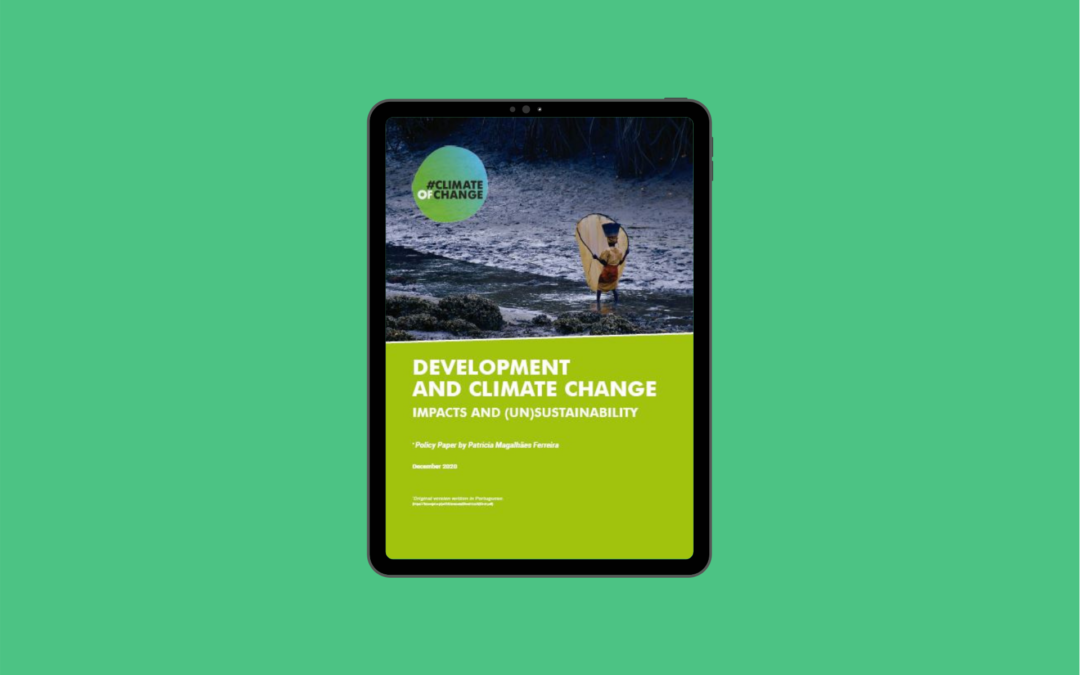New policy paper: Development and Climate Change – Impacts and (In)sustainability