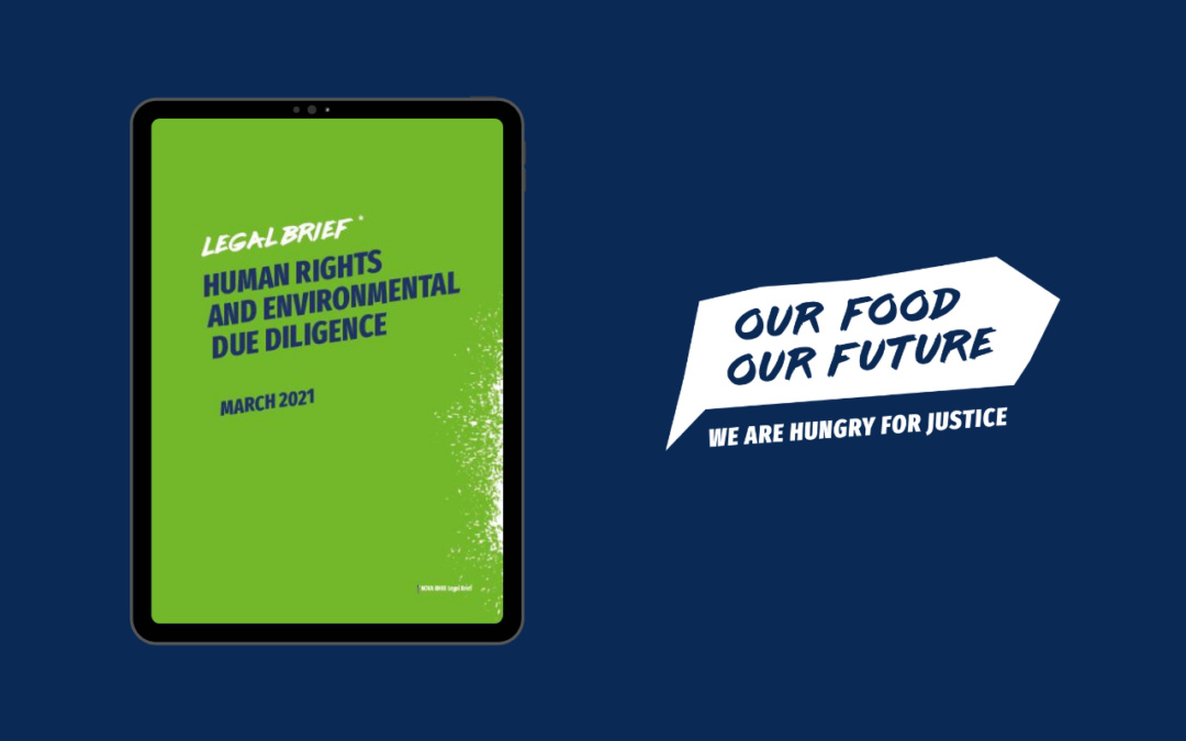 Everything you need to know about Human Rights and Environmental Due Diligence