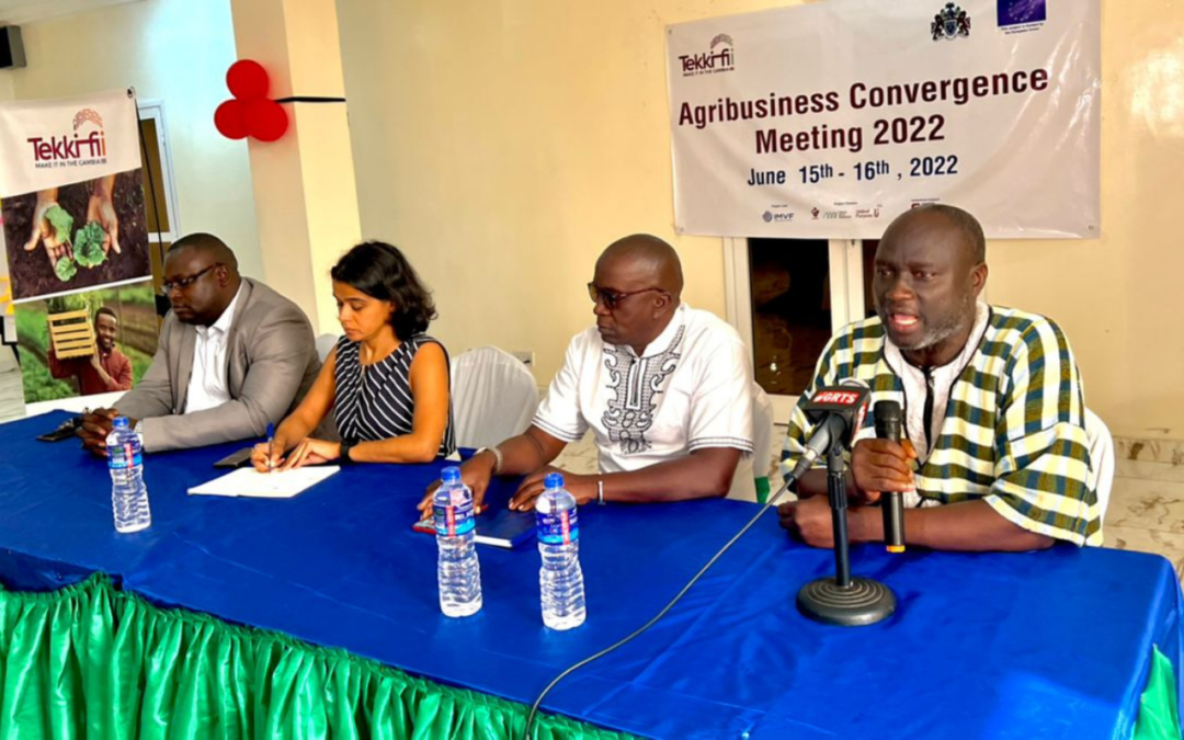 Tekki Fii Project: Agribusiness Convergence Meeting 2022