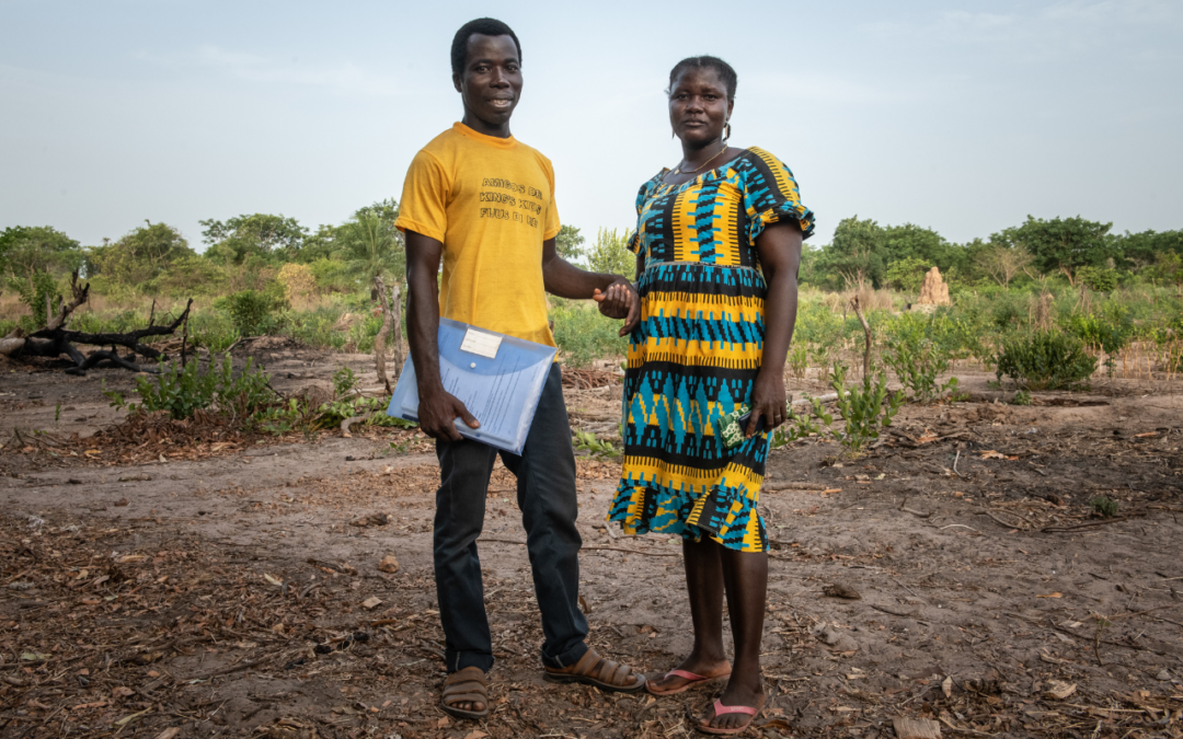 Boa governação e desenvolvimento na Guiné-Bissau
