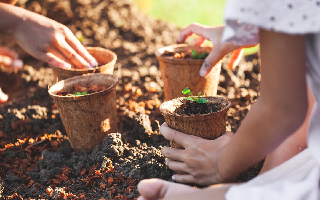Jovens 2030: mobilizar para agir. Da proteção dos solos à promoção da Cidadania Global