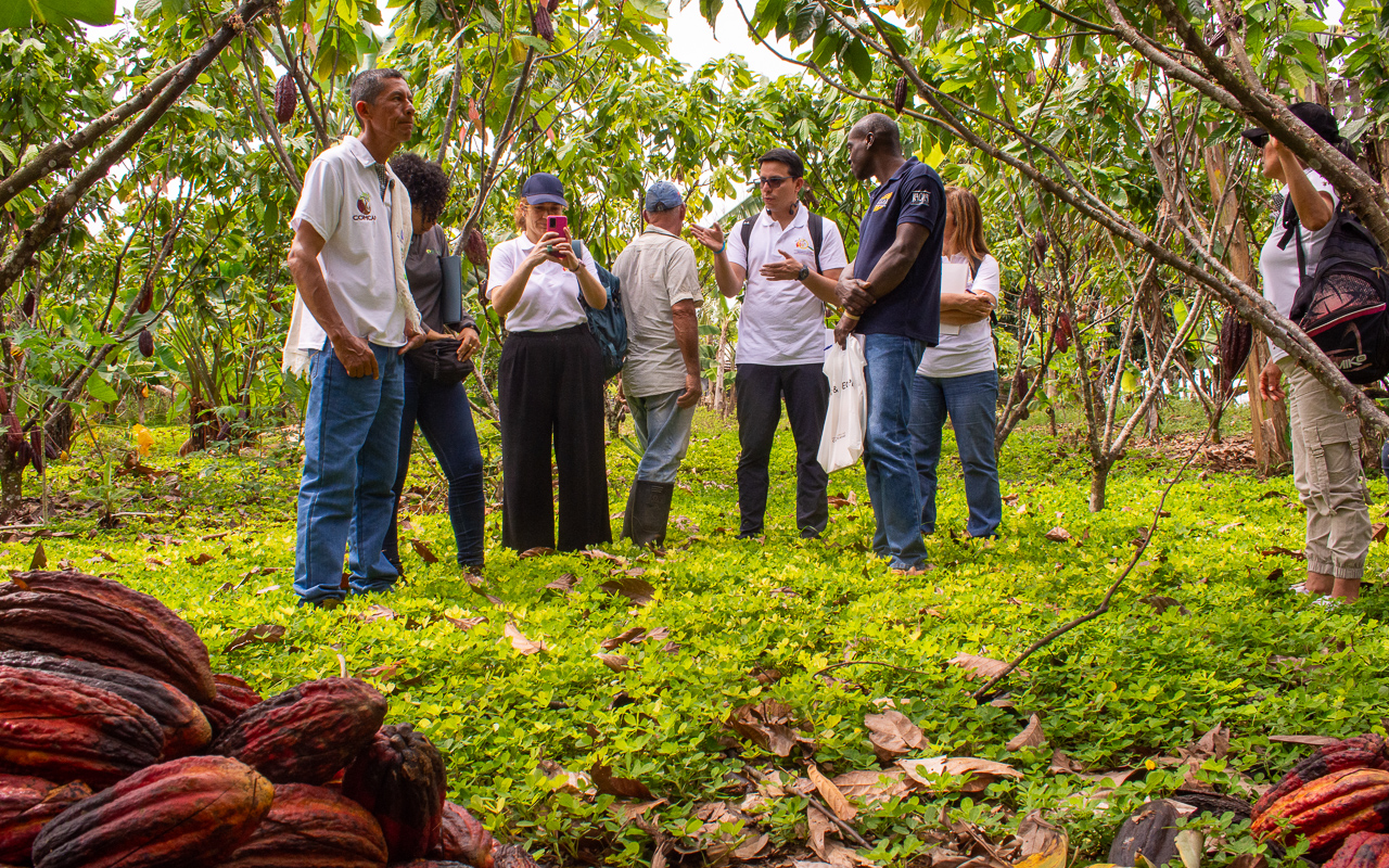 Investigadores analisam o terreno