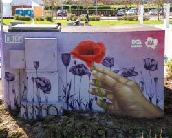 Foto: Câmara Municipal de Loures