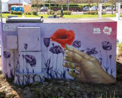 Foto: Câmara Municipal de Loures